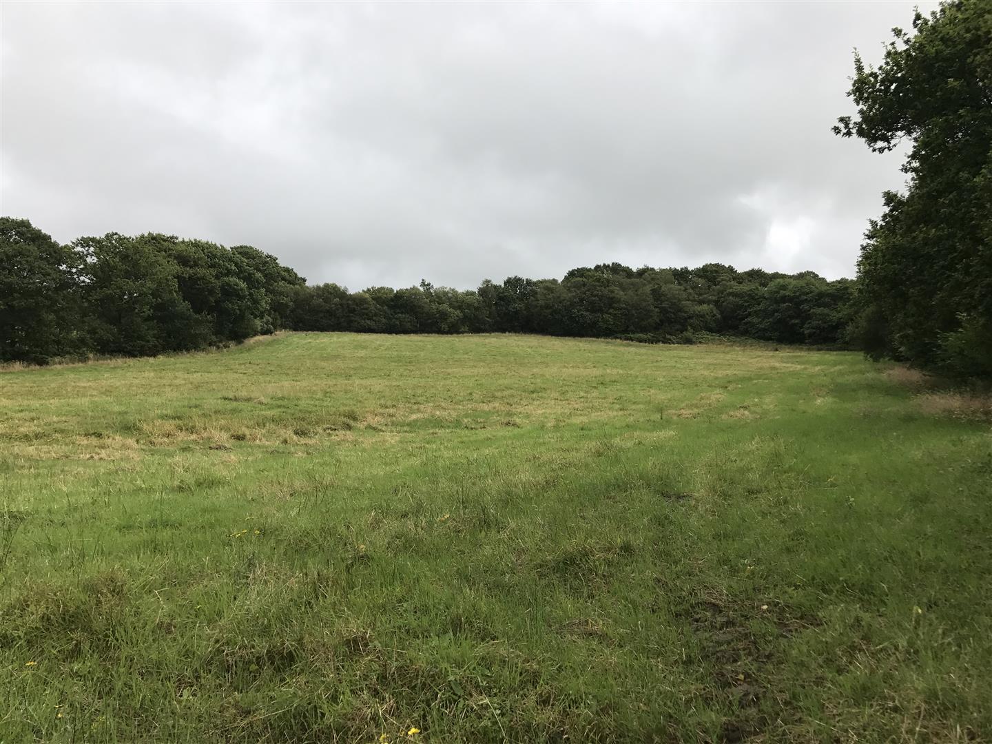 THE LAND